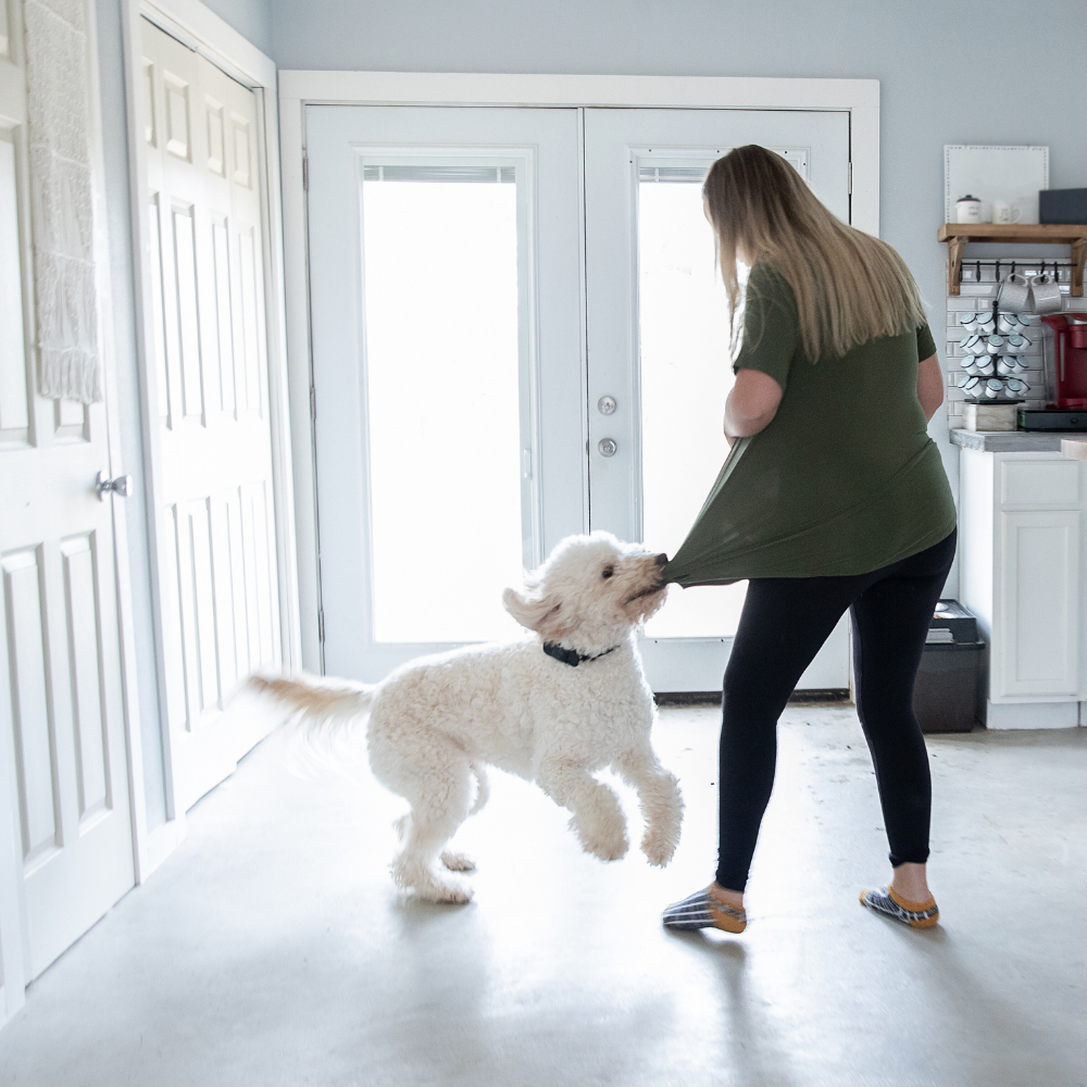 2 Welpenschule Hundeschule Guenzburg