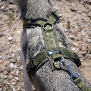 Hundegeschirr-AnnyX Hundegeschirr Laden Günzburg - anny-X Emo oliv