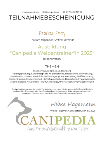 Welpentraining und Welencoach Günzburg